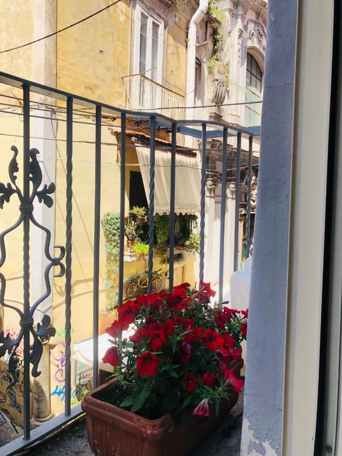 Dimora Paladino Bed & Breakfast Napoli Ngoại thất bức ảnh
